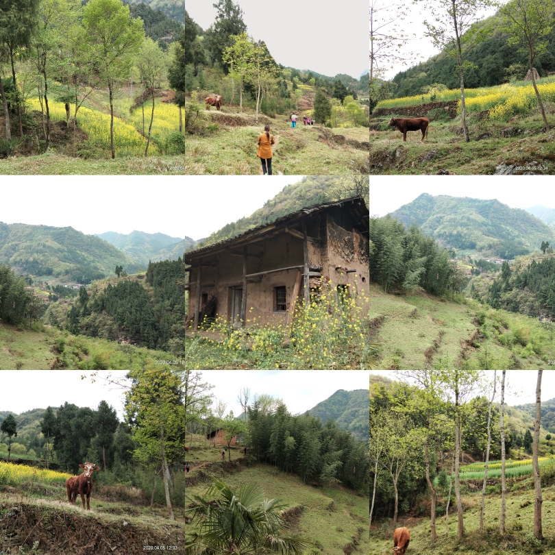 汉中宁强阳平关龙门洞古镇鸡公山观音寺回民街子龙广场休闲游