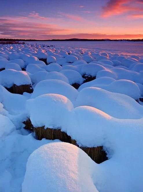 诗朗诵大雪中的中国