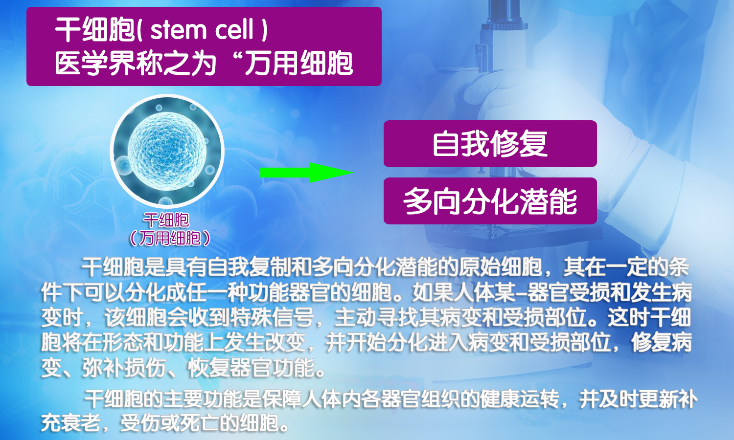 烧烫伤患者的福音将干细胞喷洒在患者伤口处可让皮肤再生