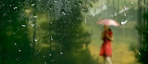 我在风雨中等你