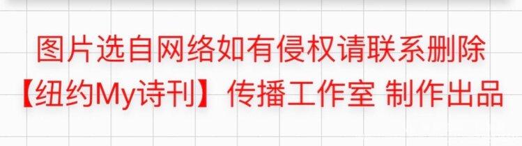感谢【休斯敦诗苑】2021第8期刊发拙作 陈金茂（美国）【冰心文化传媒】（图10）