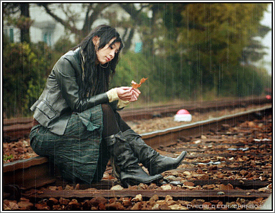 相思的雨淋湿了我的目光