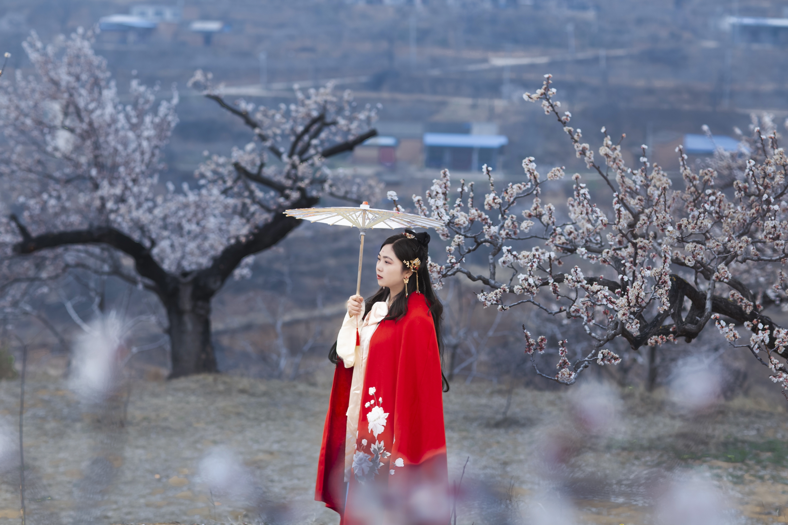 满阶芳草绿,一片杏花香.记得年时临上马,看人眼泪汪汪.