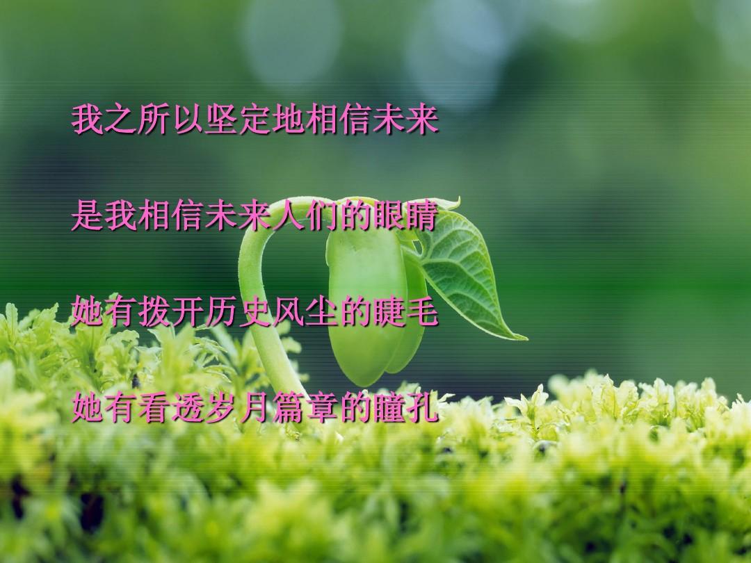 朗诵相信未来作者食指