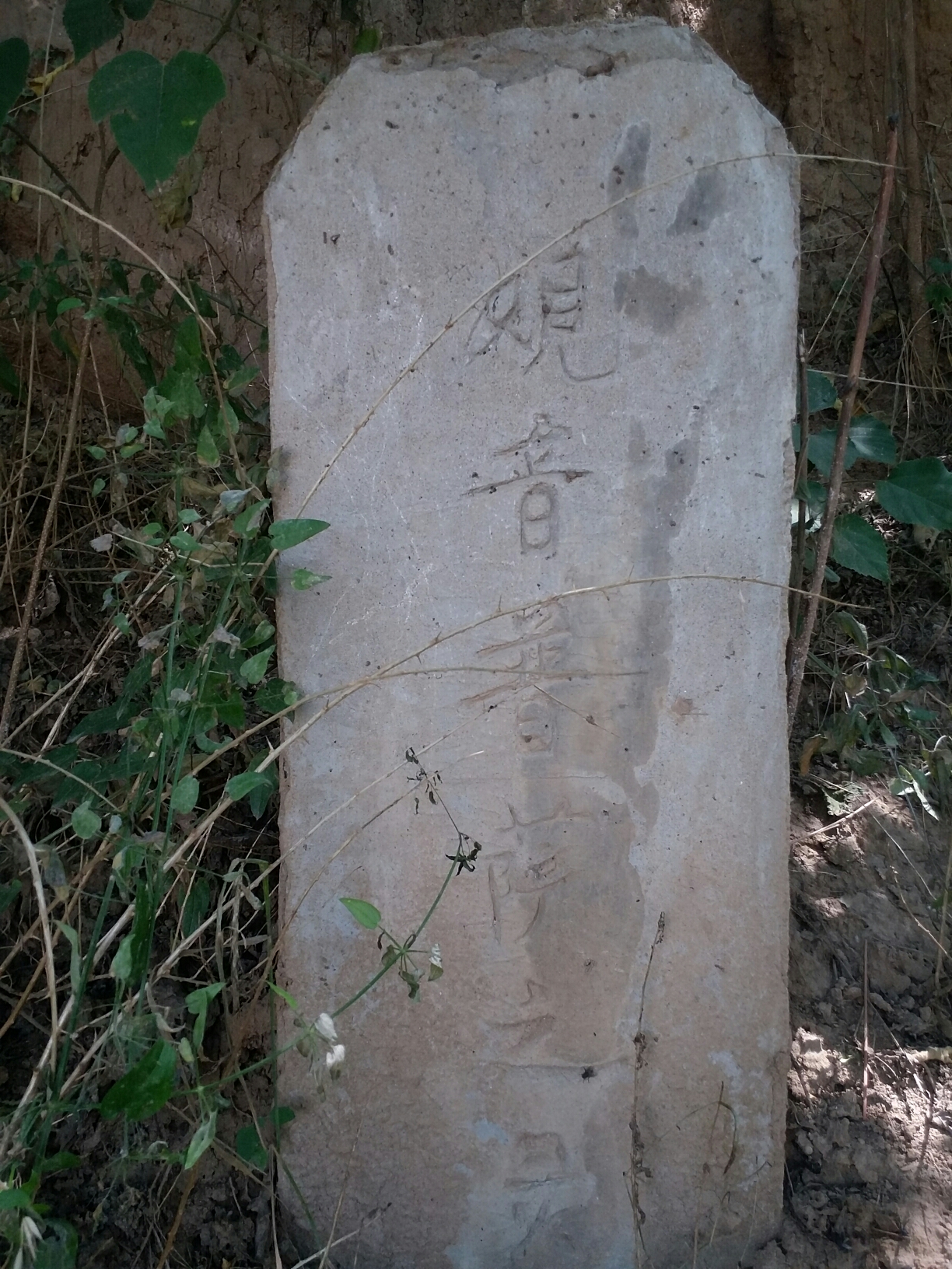 思陵冢---曹植墓(淮阳县城南二环路北)