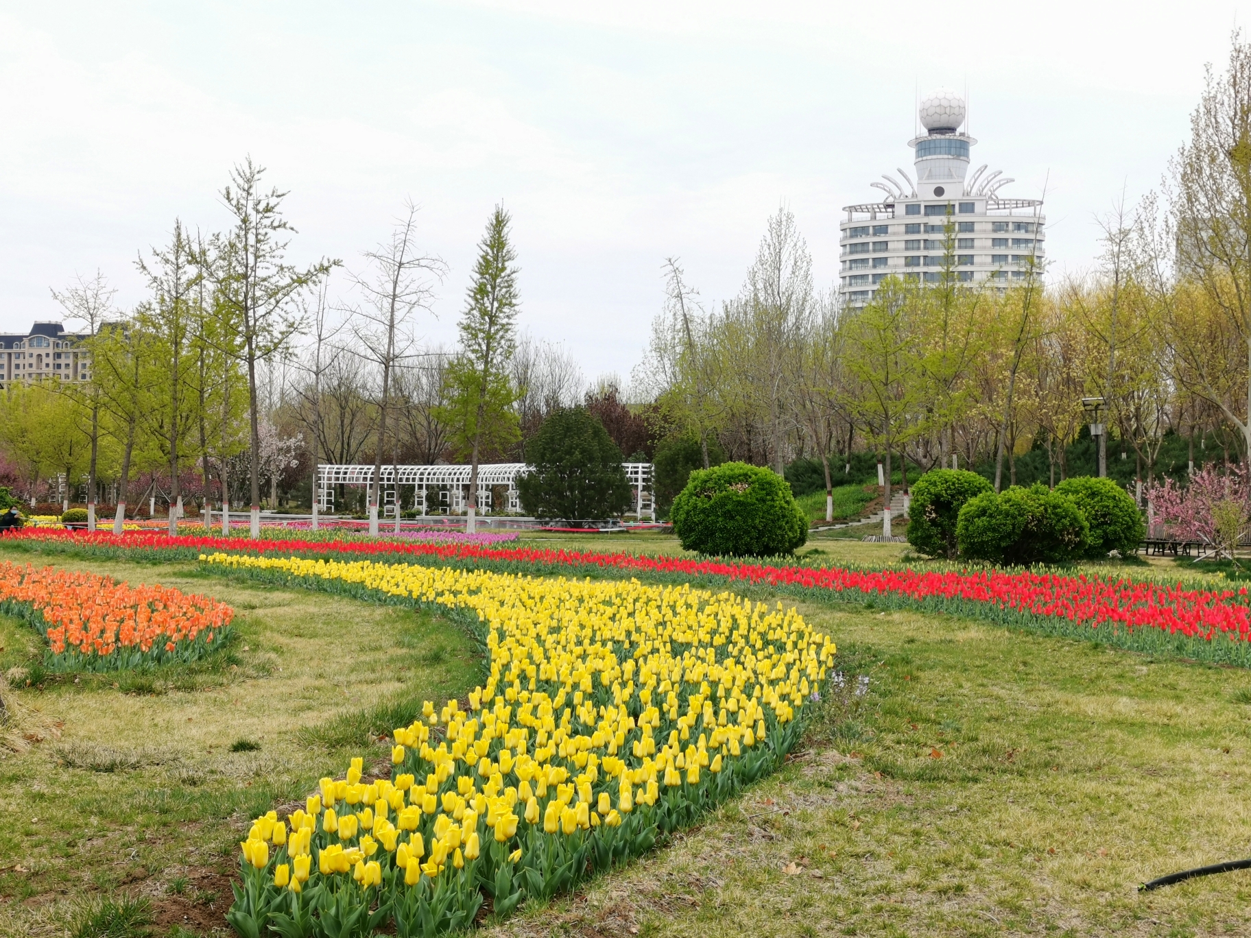 沧州名人植物园