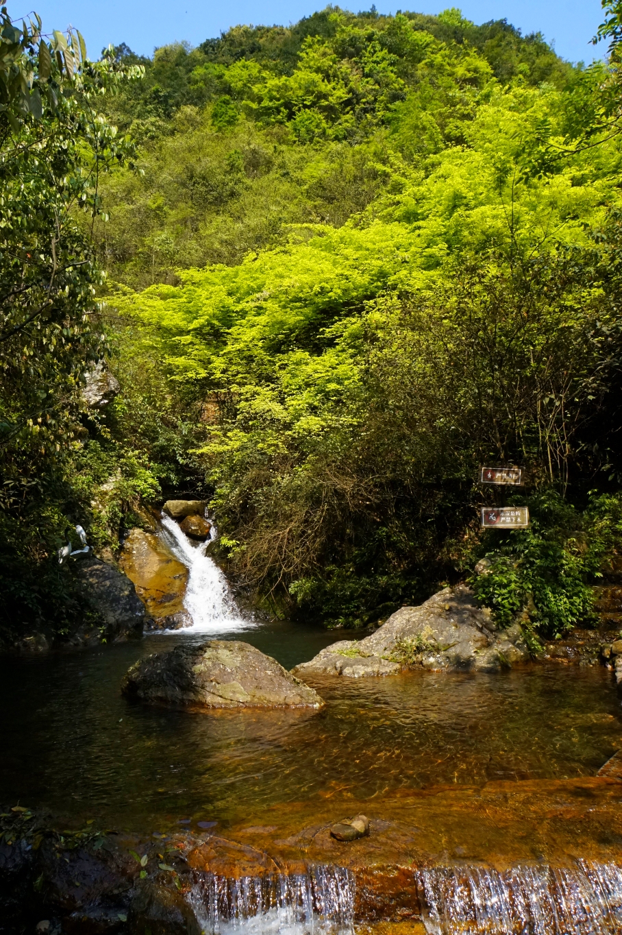 桂林灵川神岭瀑布高山映山红