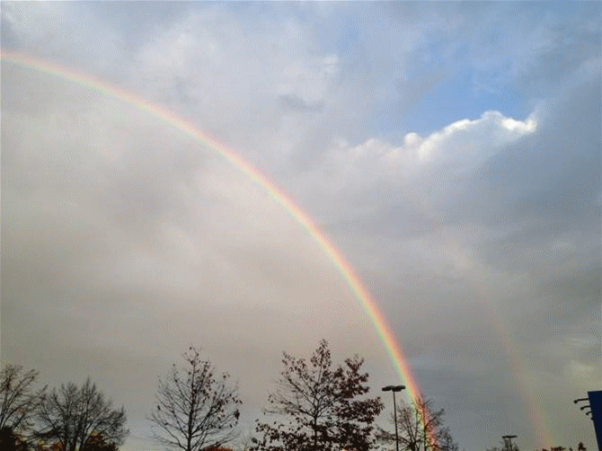 醉墨居文学群诗词精选第四十一期
