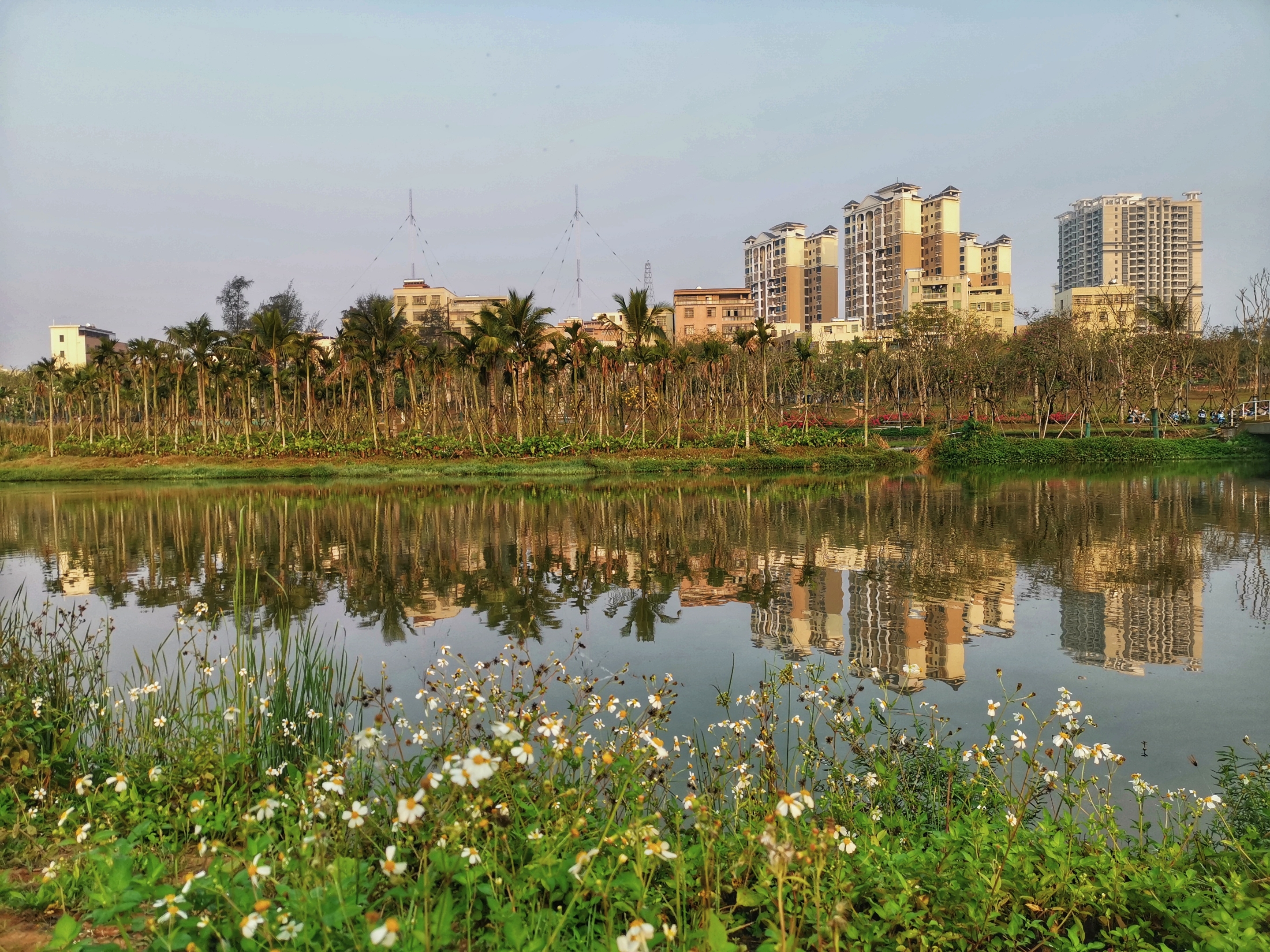 羊山水库湿地公园