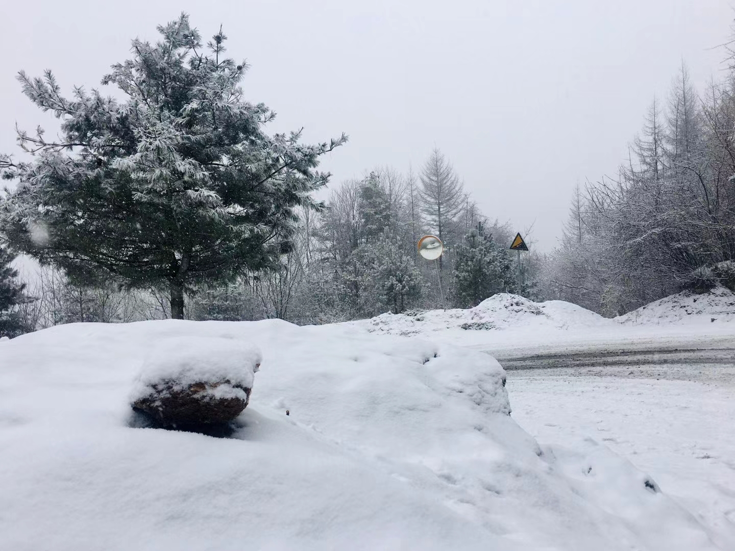 大年初二秦岭山里的雪景