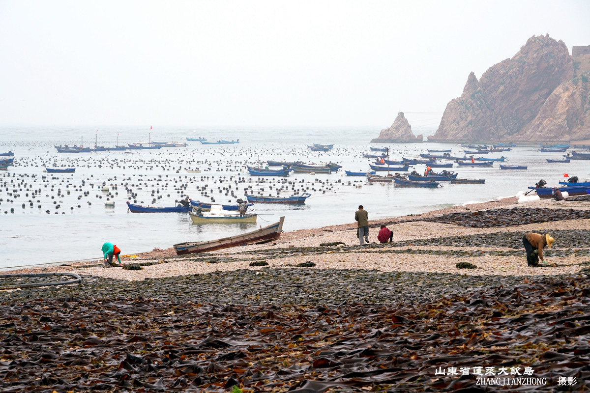 跟我一起走进山东蓬莱大钦岛