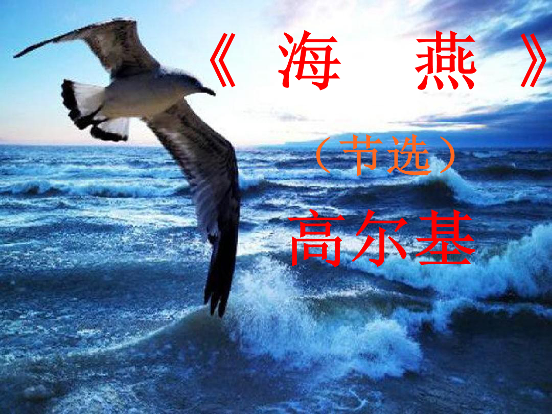 海燕