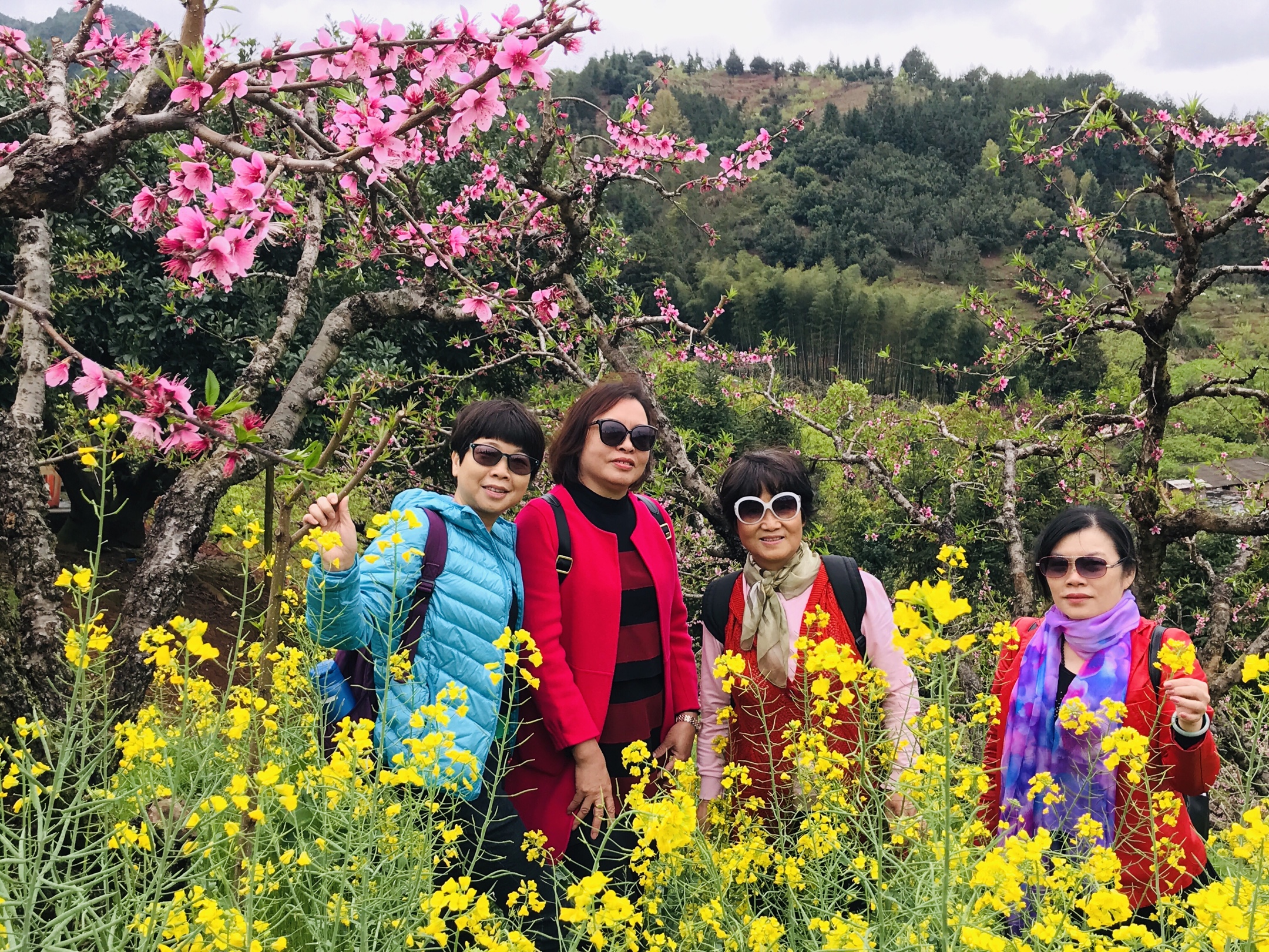 河源连平桃花节