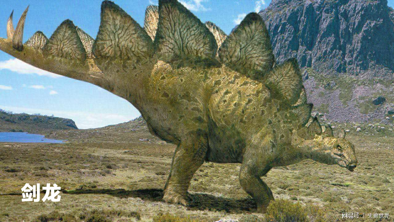 剑龙剑龙是侏罗纪后期草食恐龙,身长5-9米,体重3-6吨,生活区域北美洲.