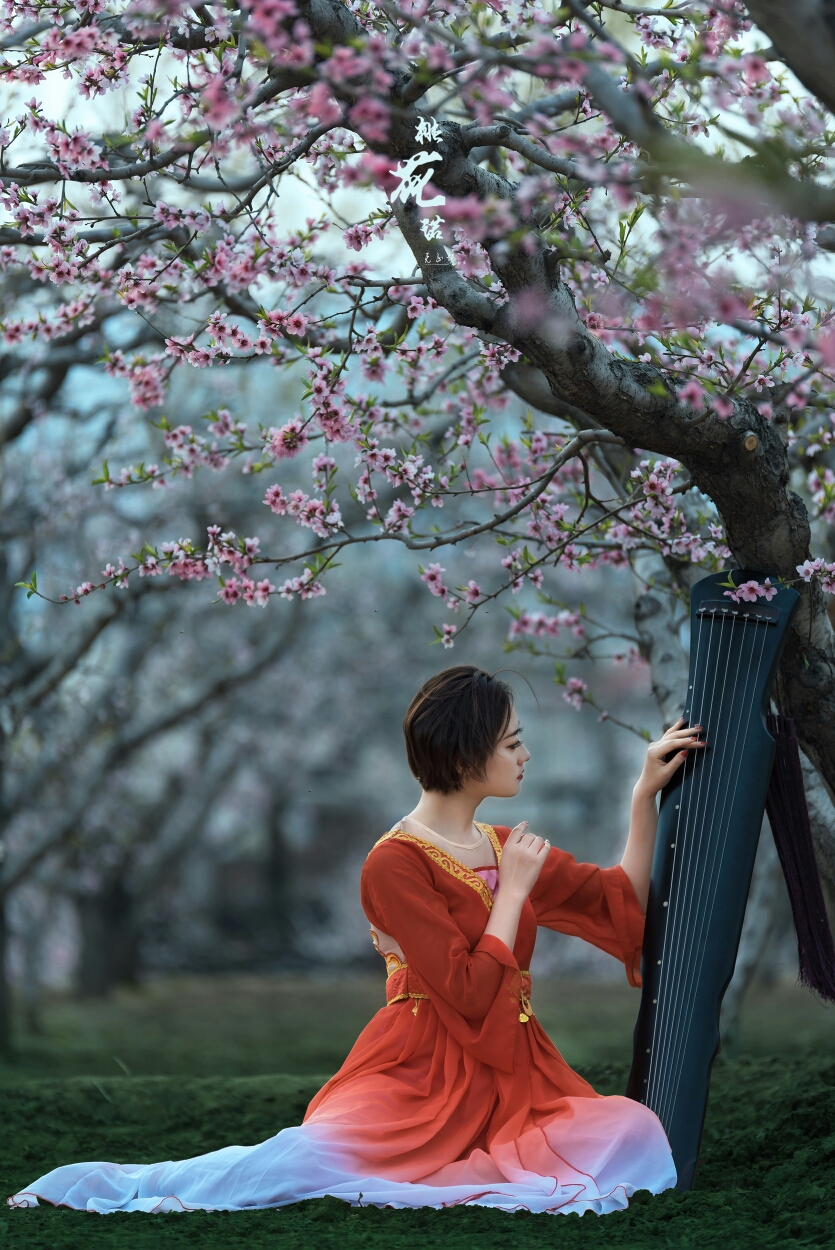 桃花诺