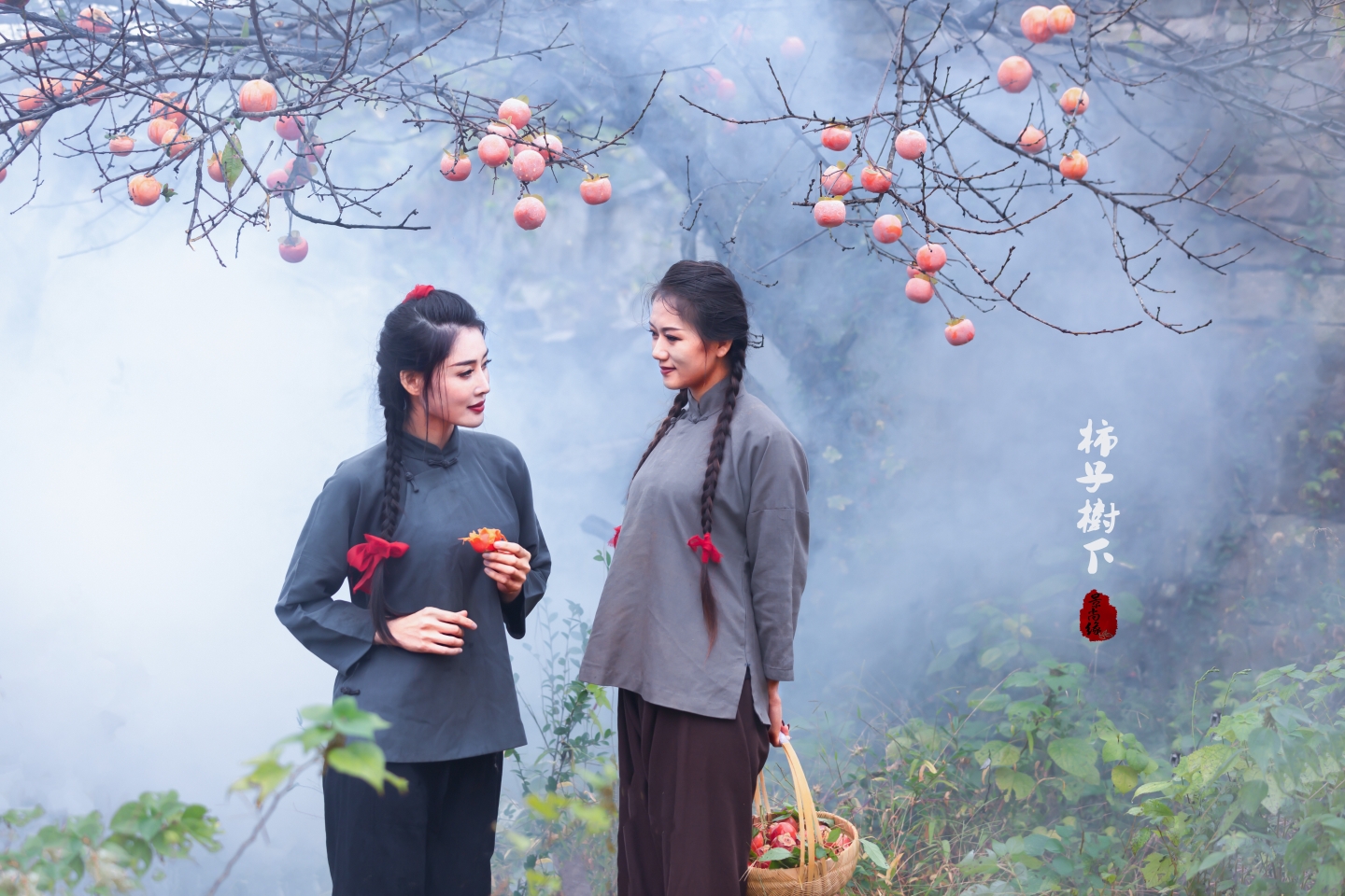 窗前的柿子树作者施施然诵读景上缘摄影景上缘