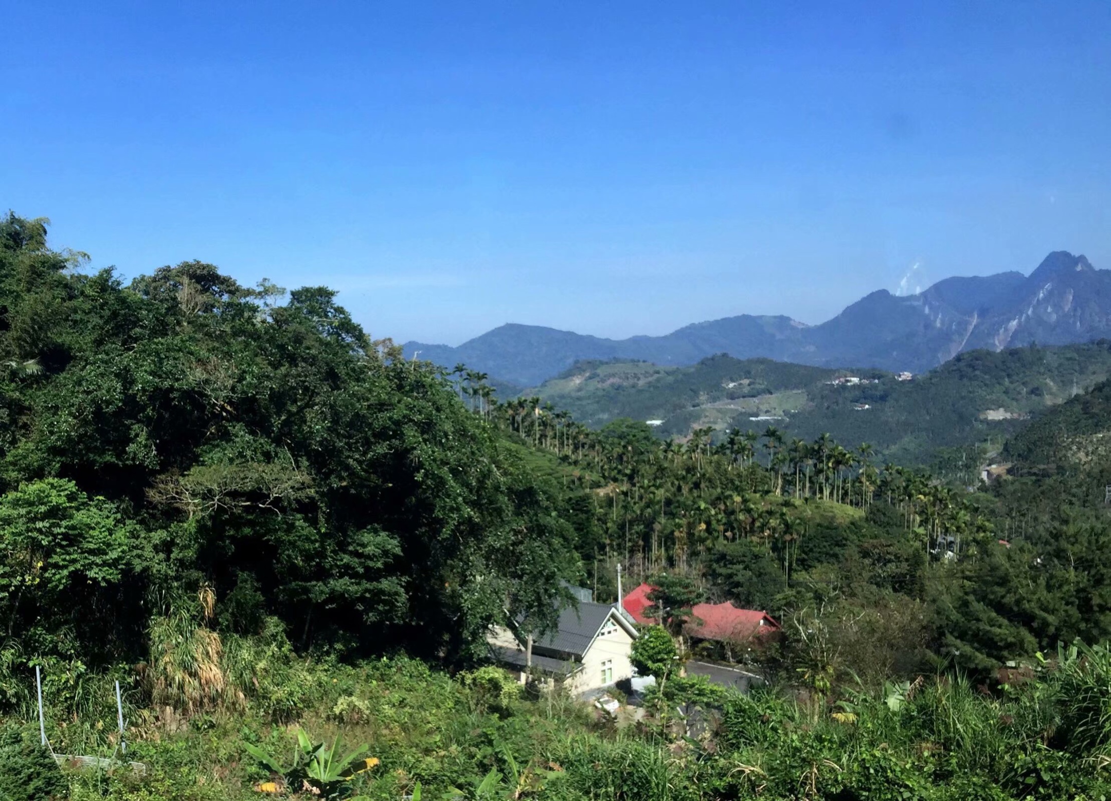 台湾嘉义阿里山