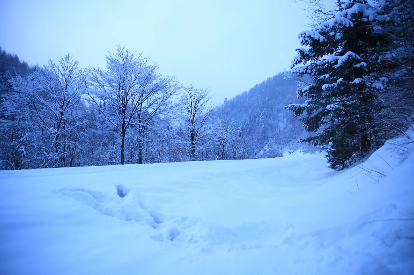 林海雪原