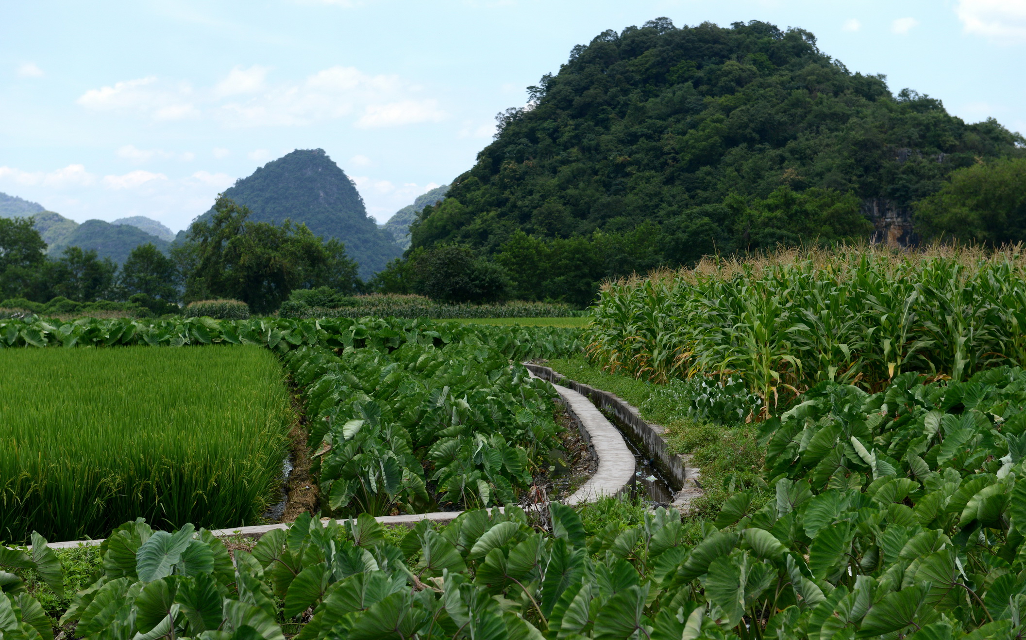 夏日·广西美丽乡村行