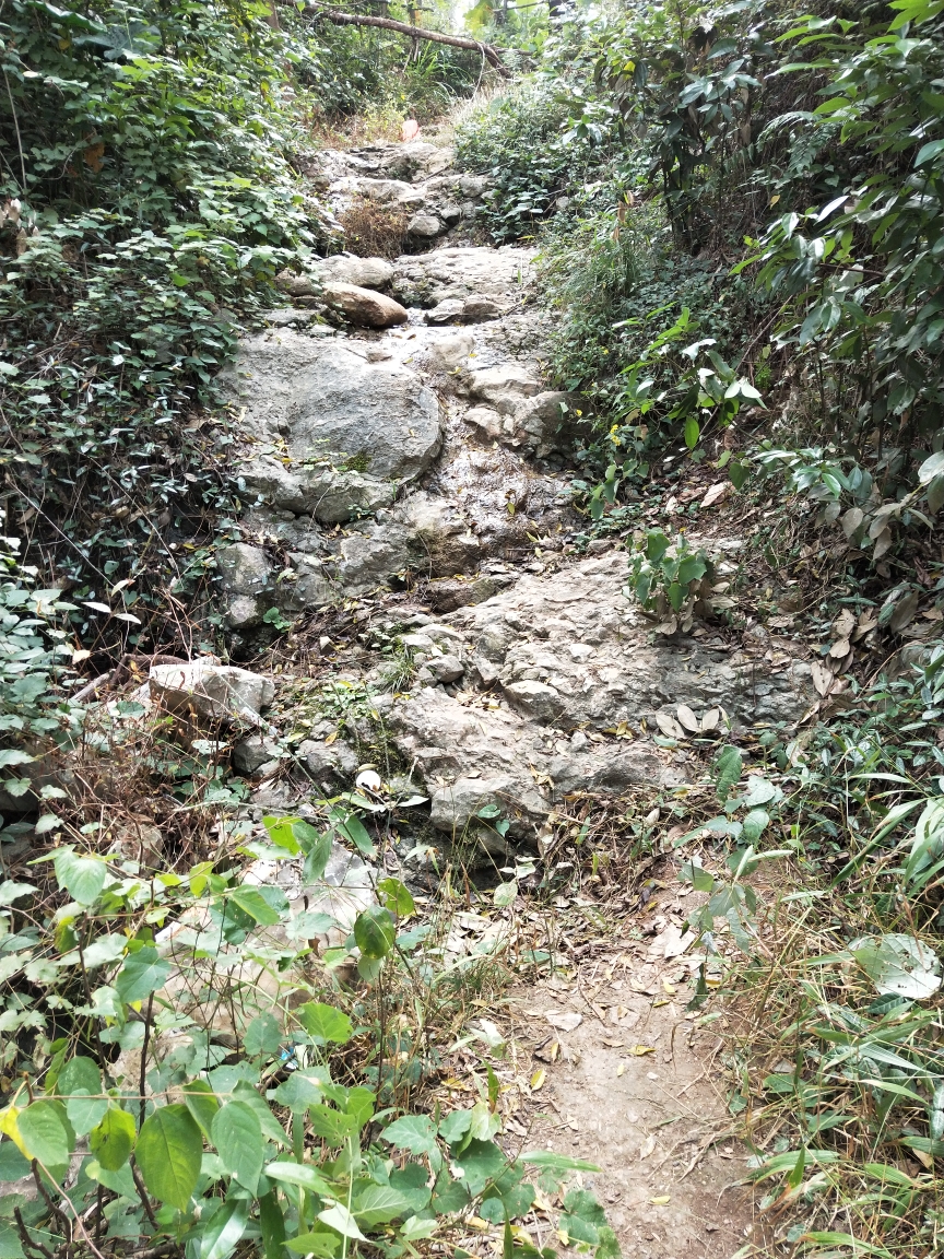 城中的荒山野岭