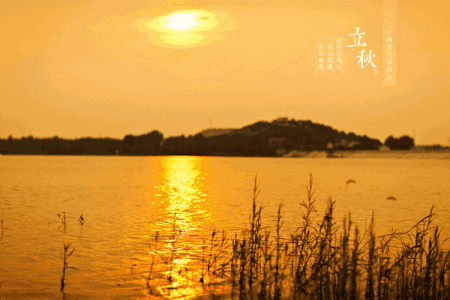 陈金茂｜秋一把将我拥入怀中（组诗）【冰心文化传媒】（图53）