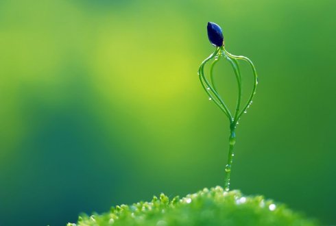 美文《淡然于心》诵读:冬日艳阳