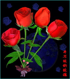 刘欢欢张宏越醉美婚礼