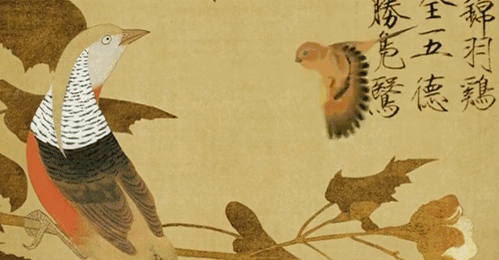 557_290gif 动态图 动图