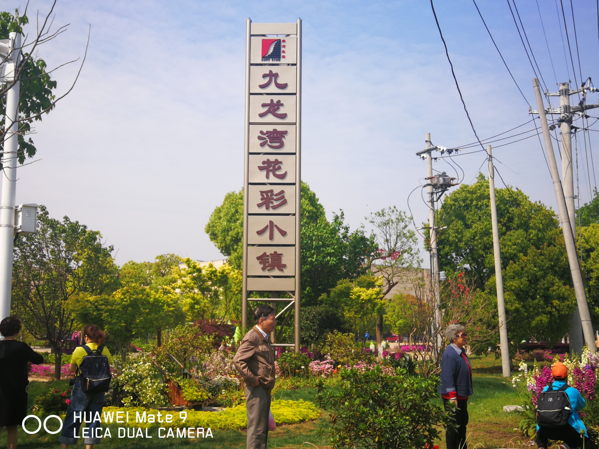 胡埭九龙湾花 朝节美景.