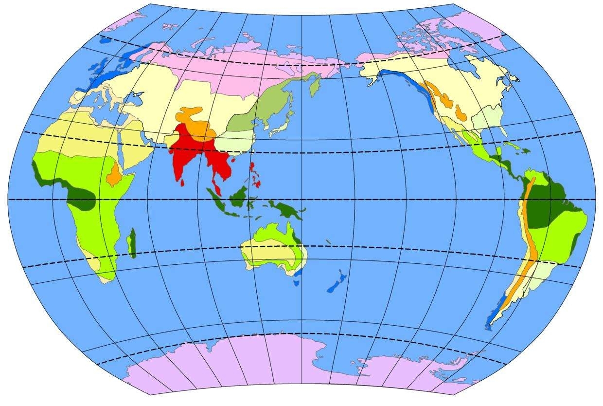 世界各大洲气候类型分布