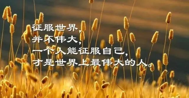 感悟