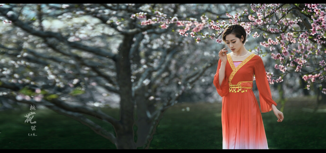 桃花诺