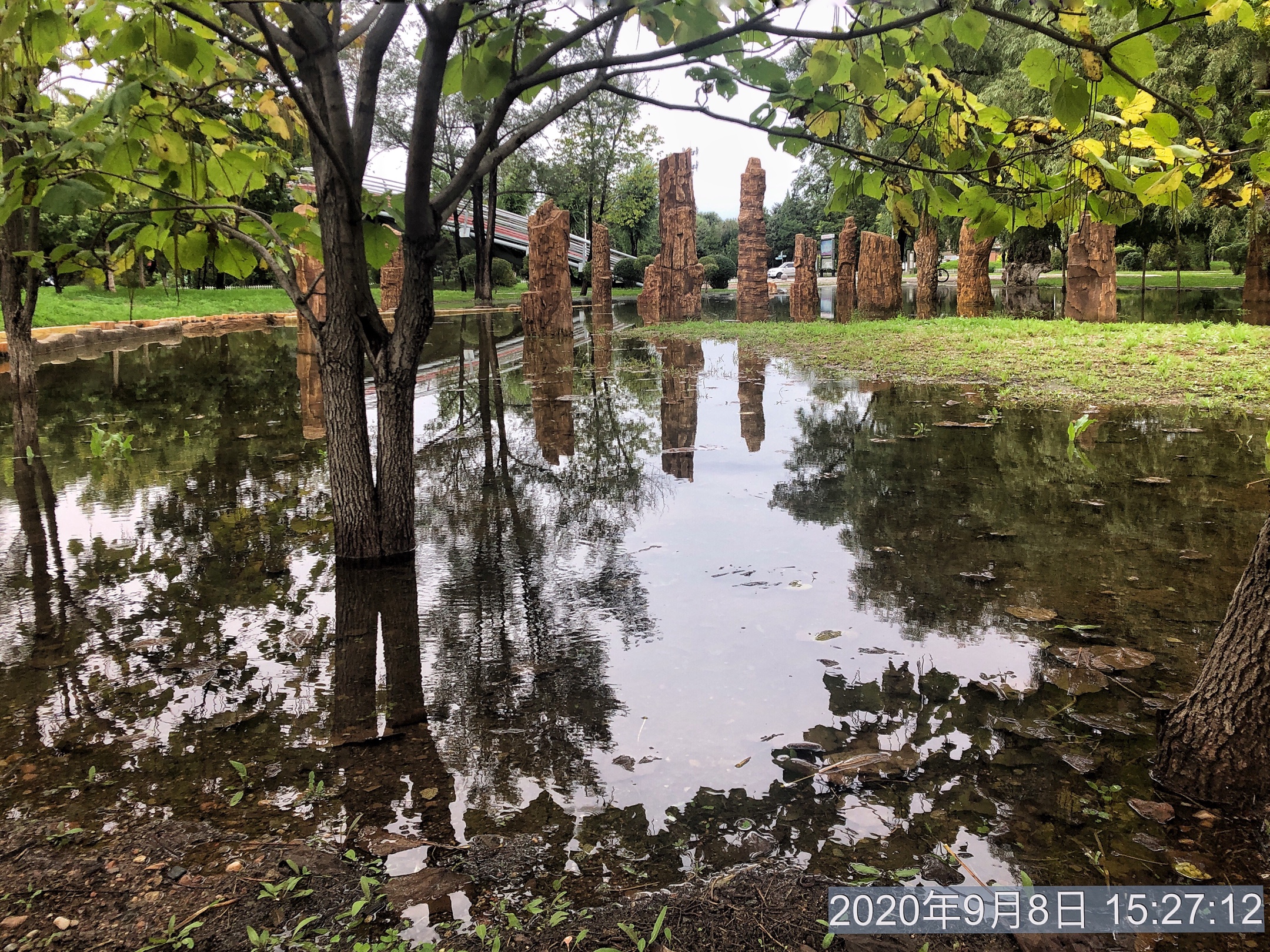 雨后的风景