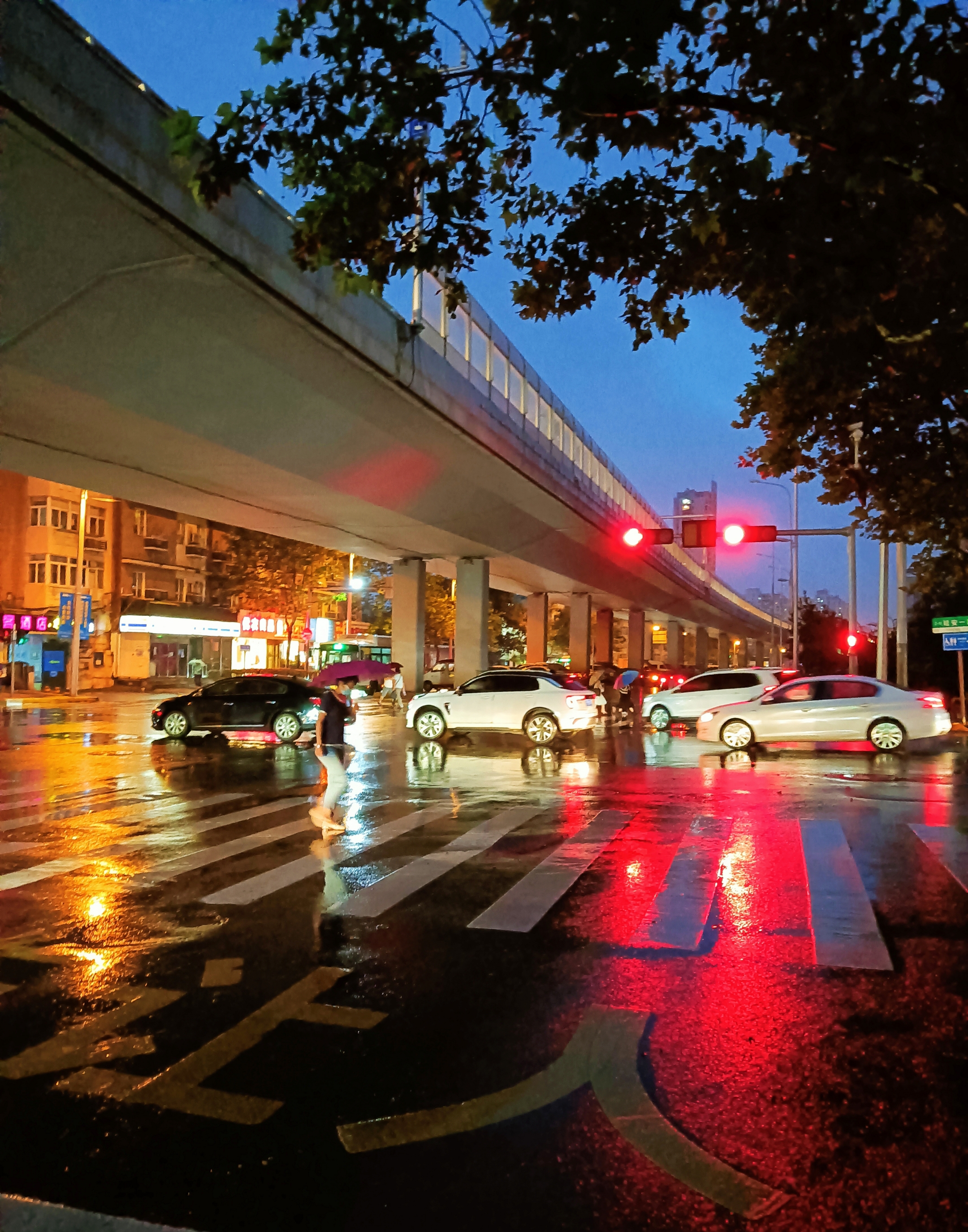 雨中夜景【首发】