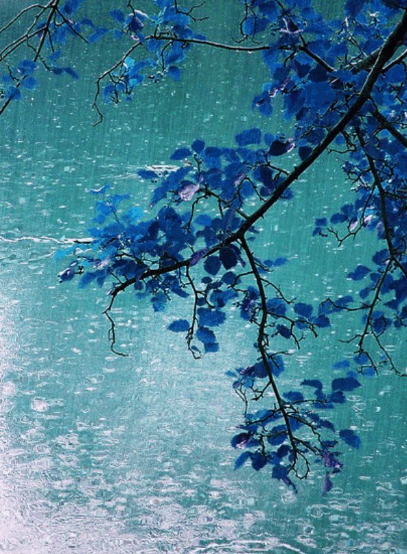 诗中雨,雨中情