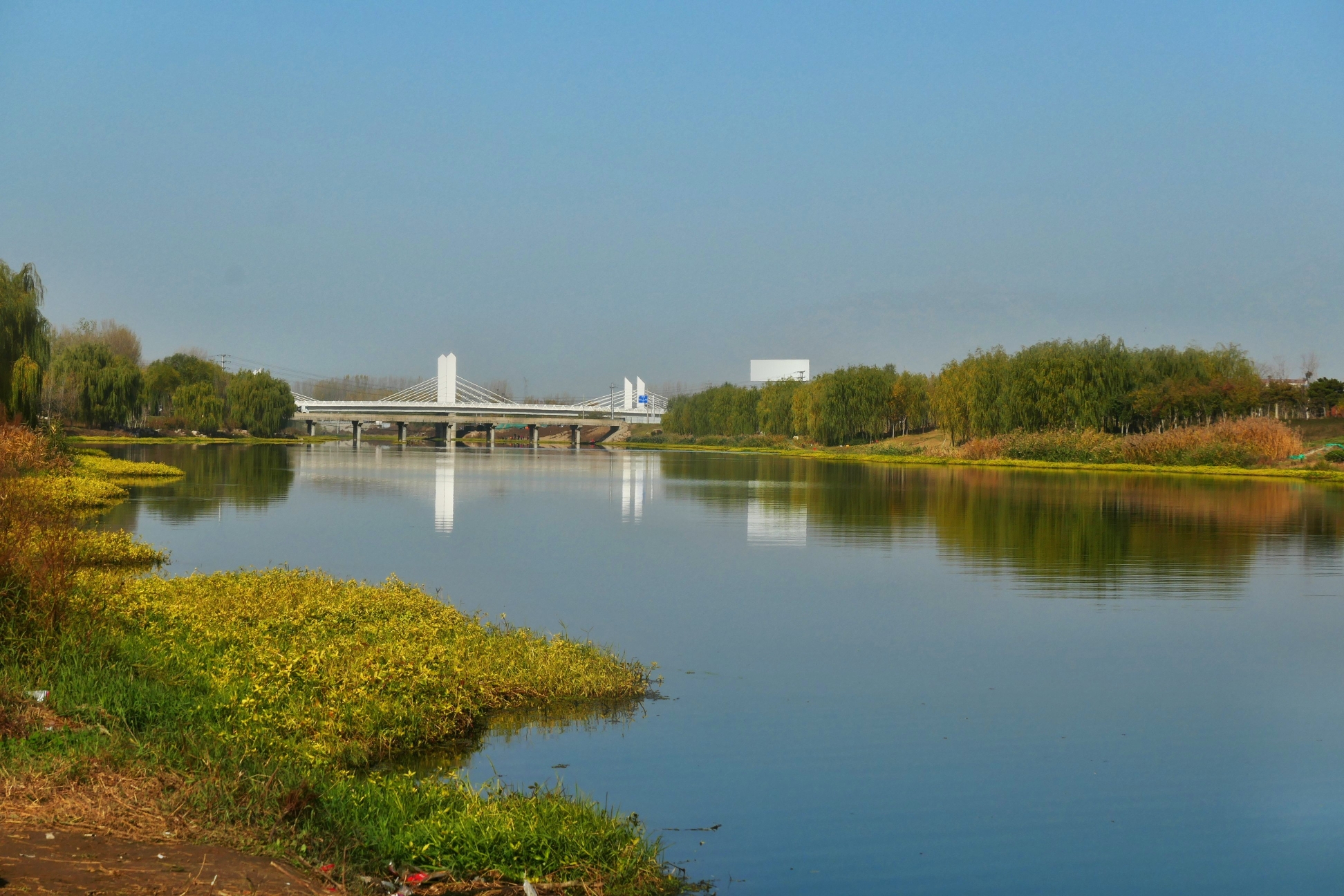 泰安汶河湿地公园,美景如画