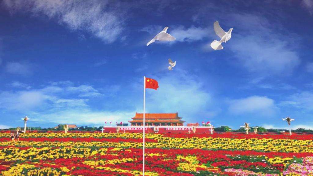 我爱你中国