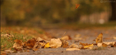 480_228gif 动态图 动图