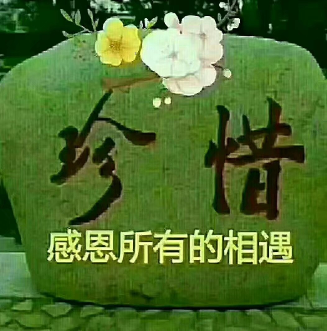 感恩这一年来,一直在鼓励我的人,感恩所有生命中,愿意真诚相待对我好