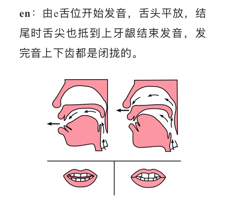 en发音时,先发e,然后舌尖向上齿龈移动,抵住上齿龈发鼻音n.