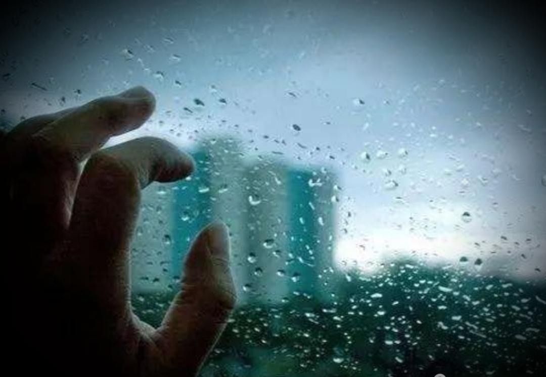 【原创】倚窗听风雨.随雨畅想飞