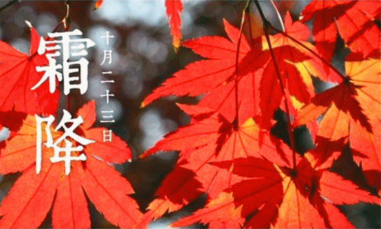 541_326gif 动态图 动图