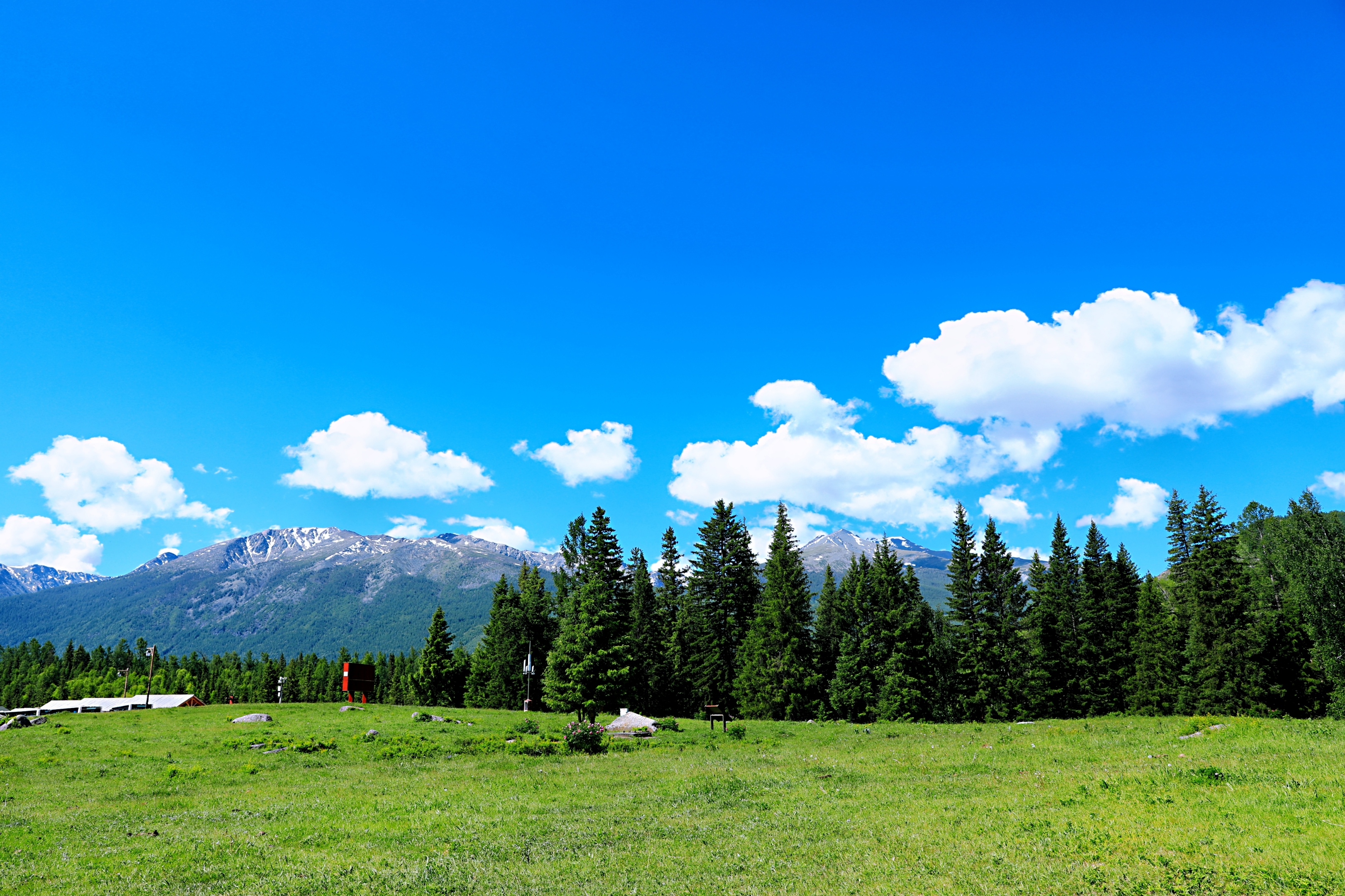 喀纳斯风景