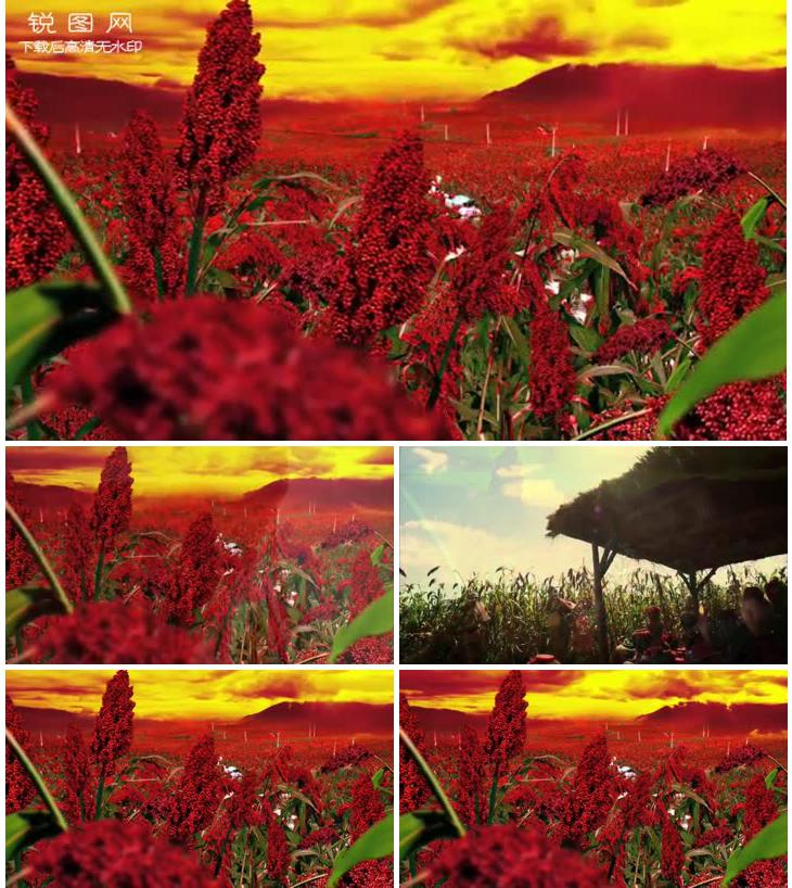 韩红·红高粱 电视原声大碟 九儿-(电视剧《红高粱》主题曲) - 韩红
