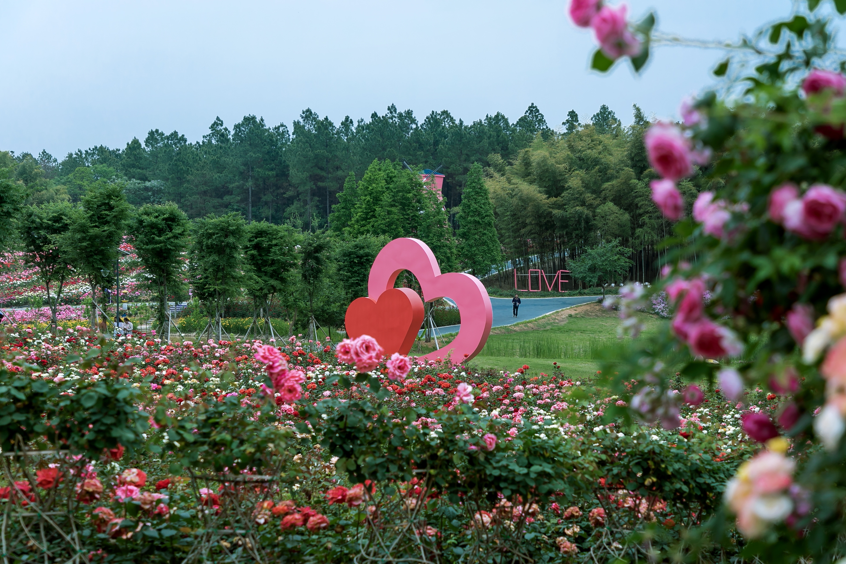 溧水玫瑰园(首发)