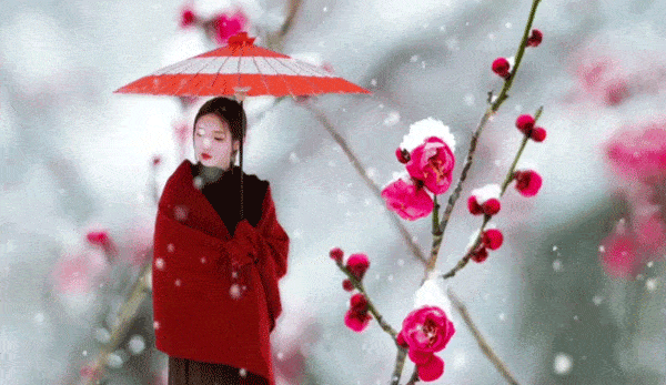 小寒节红梅傲雪破小寒组诗四原创