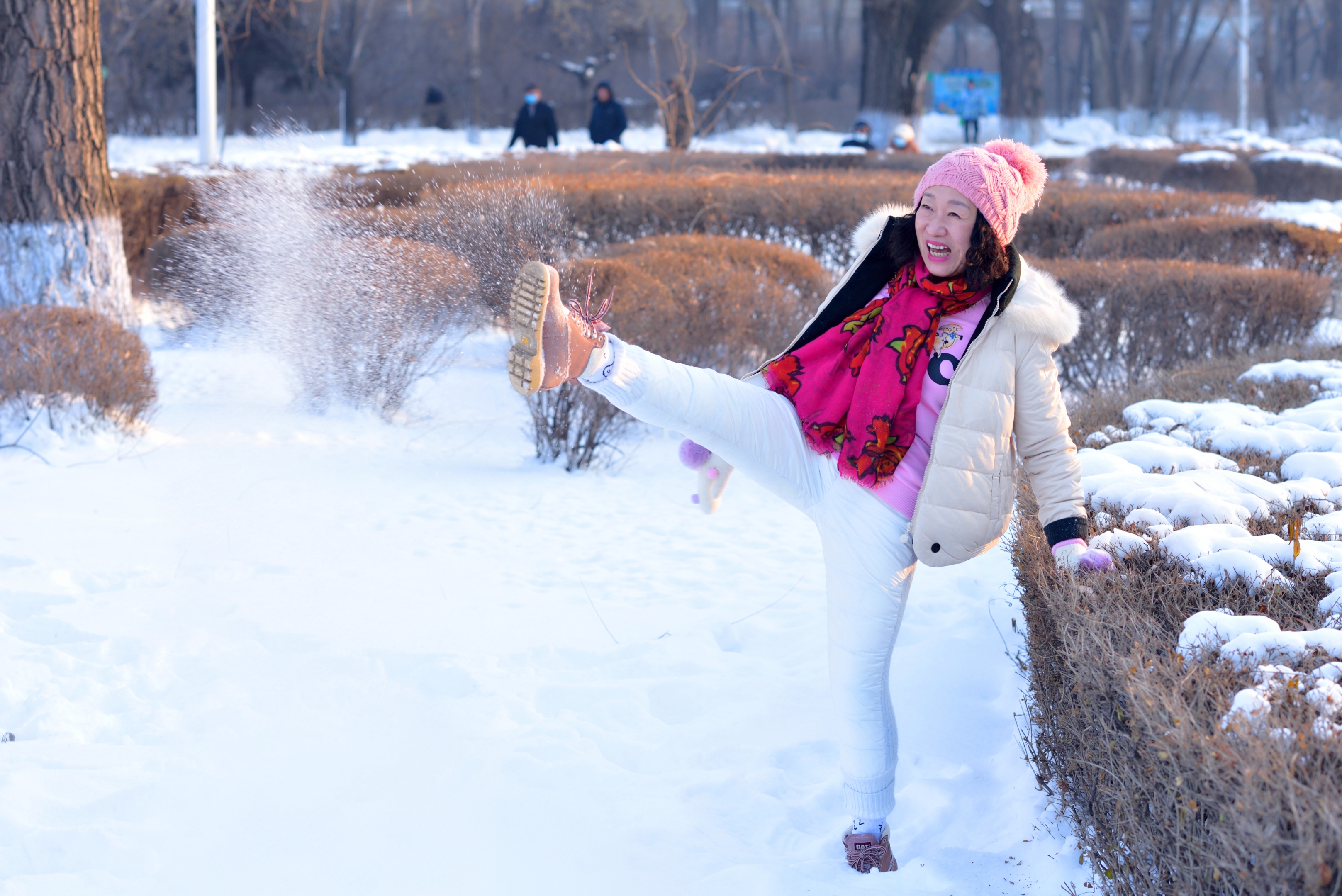 冬雪