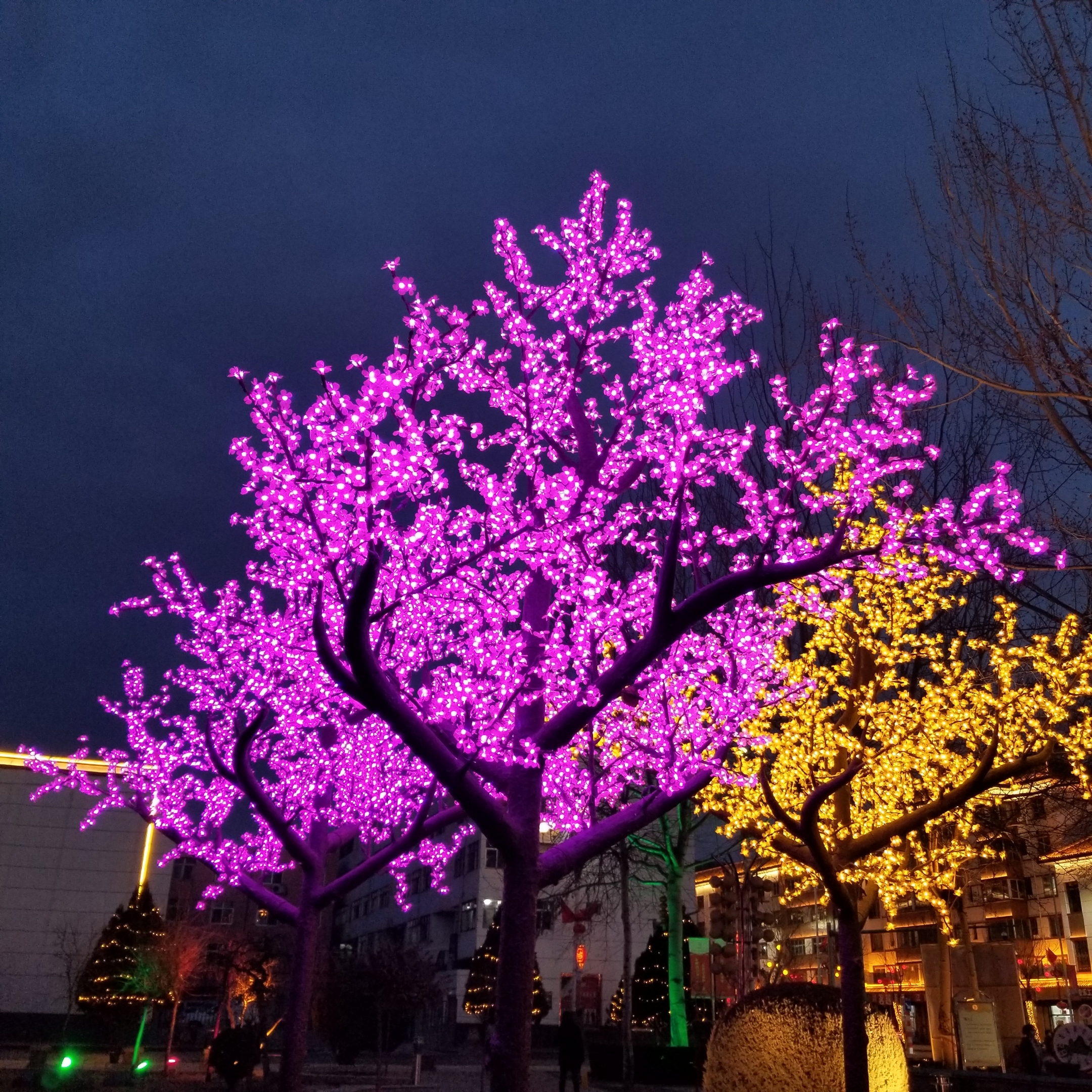 每逢佳节,我们青铜峡市各路边树上就会挂满五颜六色的彩灯,到了夜晚