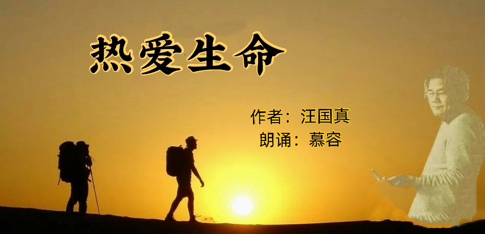 《热爱生命 作者:汪国真
