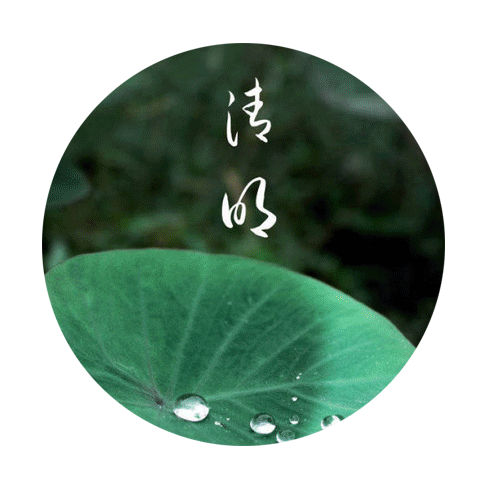 德清中学刘玉玲别样清明祭一样追思情